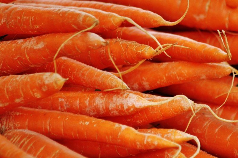 Морковь обожает эту вкуснятину: 1 горсть в ведро — и корнеплоды растут сладкими, сочными и крупными
