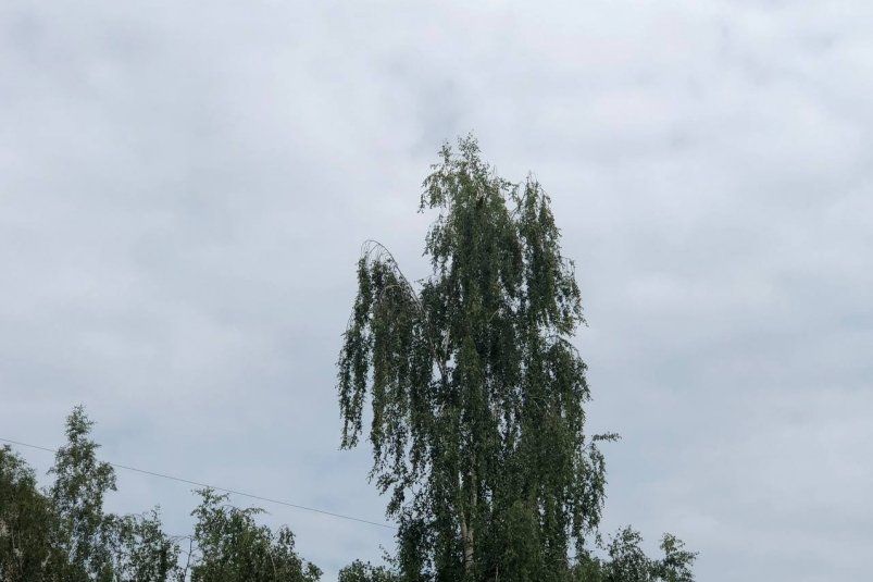      :      