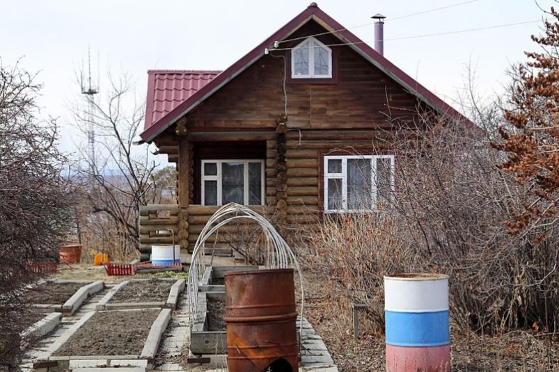 Сею это на грядках после сбора урожая — огород становится в разы плодороднее