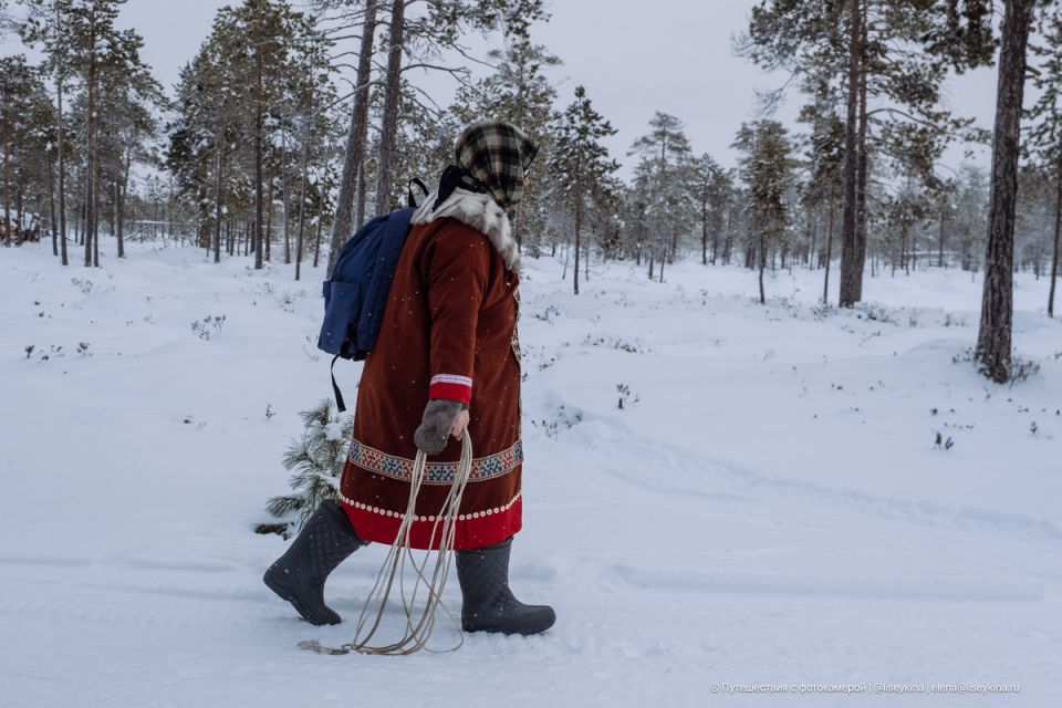     :     -30 C