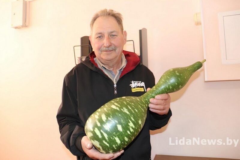Под Лидой супруги собрали рекордный урожай лука и экзотическую тыкву