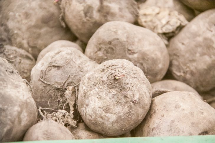 "Неординарное блюдо": свекольные оладьи - приятно удивят гостей