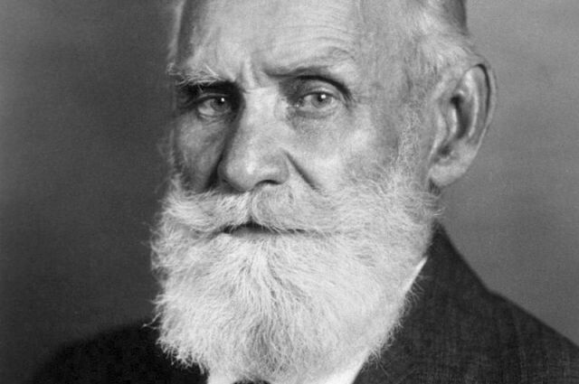 Как рецепты Павлова предлагают современный взгляд на здоровье и питание