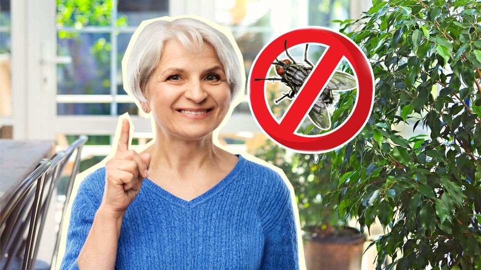 �������� � ������ ��������: ��� ��� �������� ��� �� ���� � ��� �����