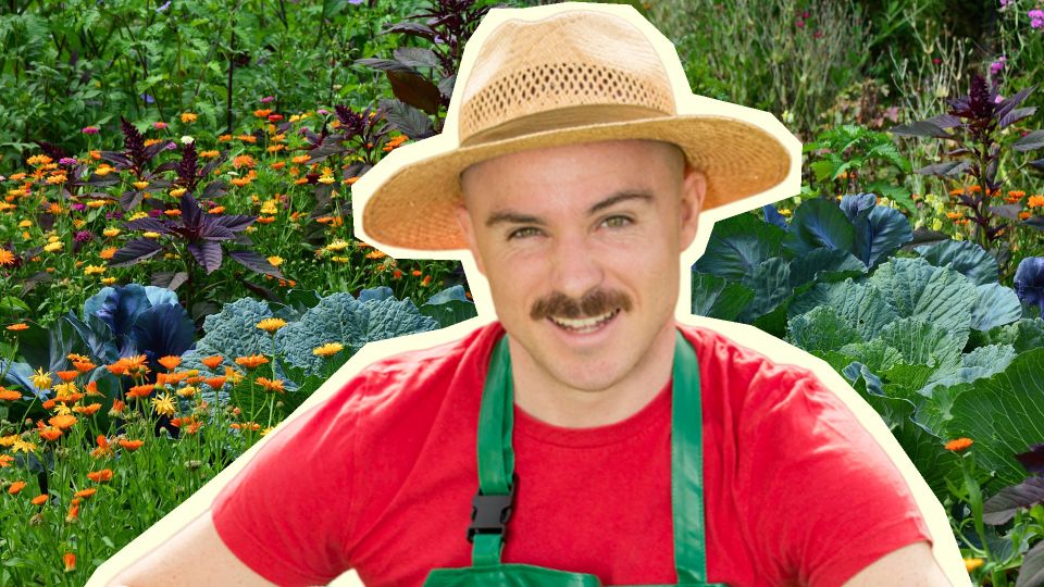 ��� 3 ���������� ������� �������� ������� ��������: ���������, ��� ������� �� ����������