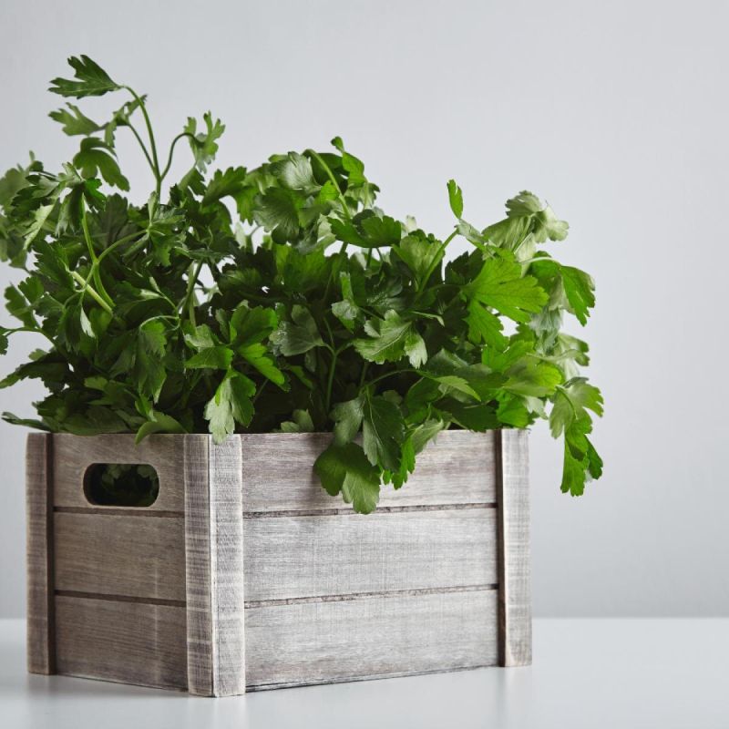 ����������� ������ �� ��������: ������ � ������������