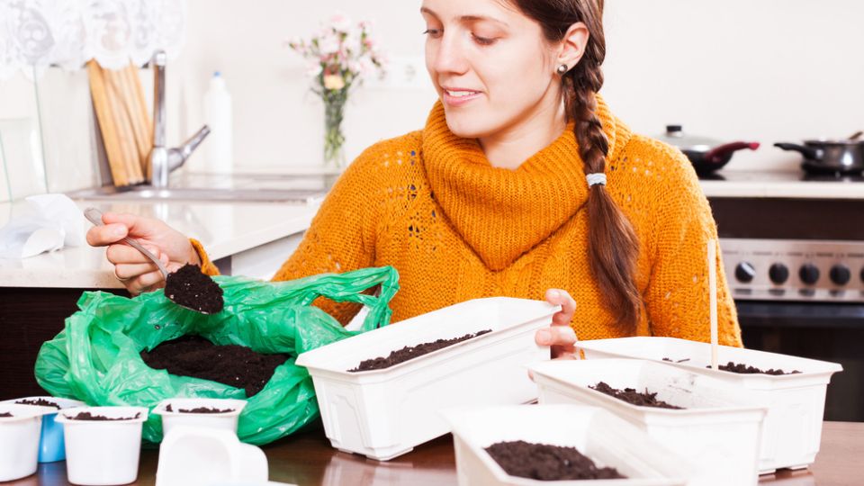 ������� ��������� ������ �������: ��� �������� ������������ �������