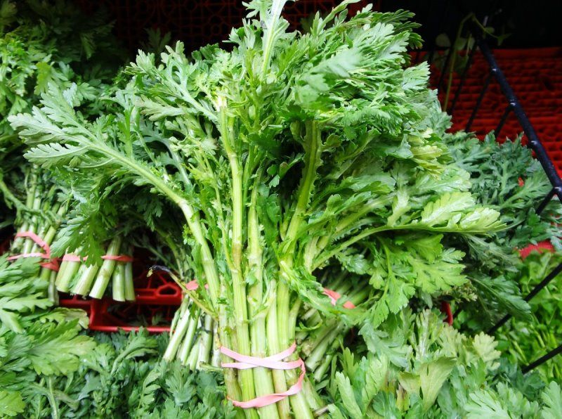 ������� ����������: ��� ��������� �������� � �������� ������ �� ����