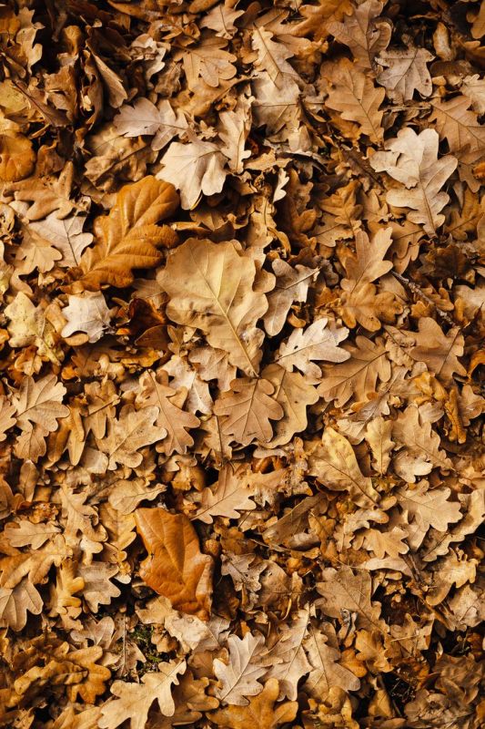 ������� ������: ��������� ��������� ��� ������ ����