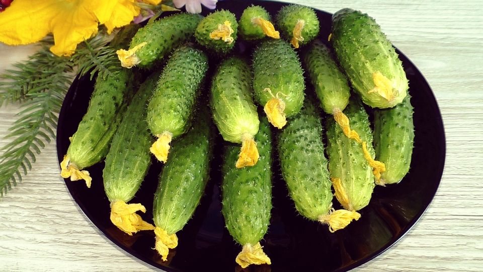 ���-5 ������� ��� ���� �� Wildberries � ������ ������ ������� �� �������