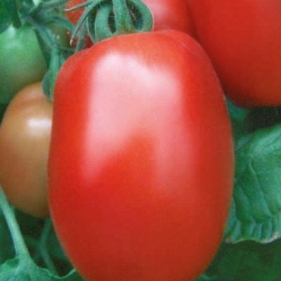 ����� ����������: ��������� ����� ��� �������� � ���������� �������