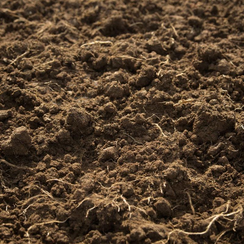 ����������� ����������: �������������� �������� pH ����� ��� ��������� ������