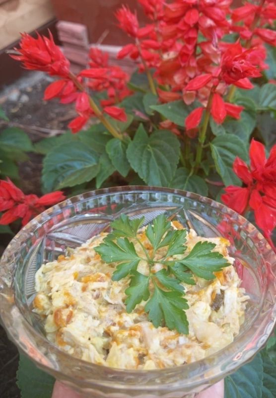 ������ ����� '�������': ��� ��� ������ ���������