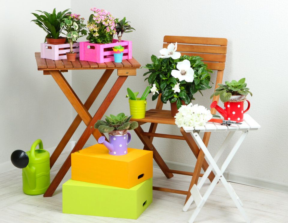 ������� ������������ ���������: ��� ������������� ��������� �������� ��������