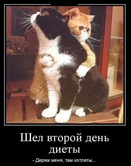 ������� ���������: ��� ��� �� ���������� ������� � ������ ���� ����