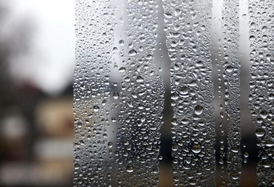 ��� ���������� �� ���������� �� �����: ������ ��������������