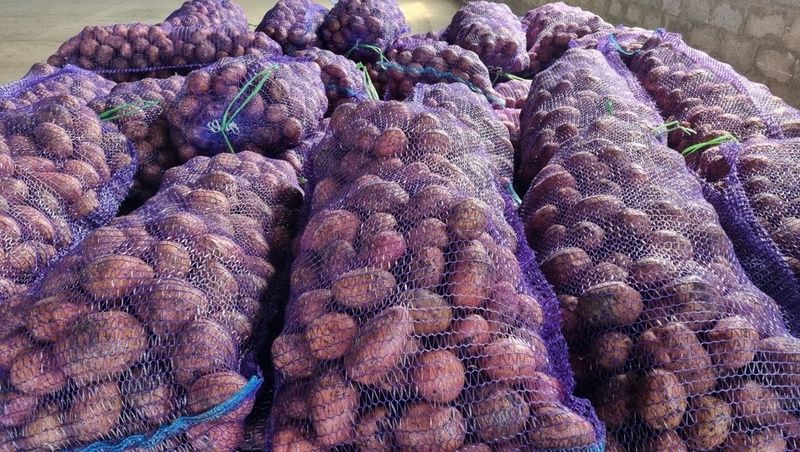 ����� ������� ��������� �� ��������� ��� ������ �� ������