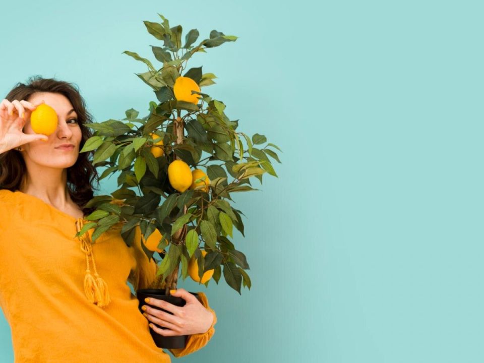 ���������� ���������� ����������� �����: ��� ����� ����� ���������