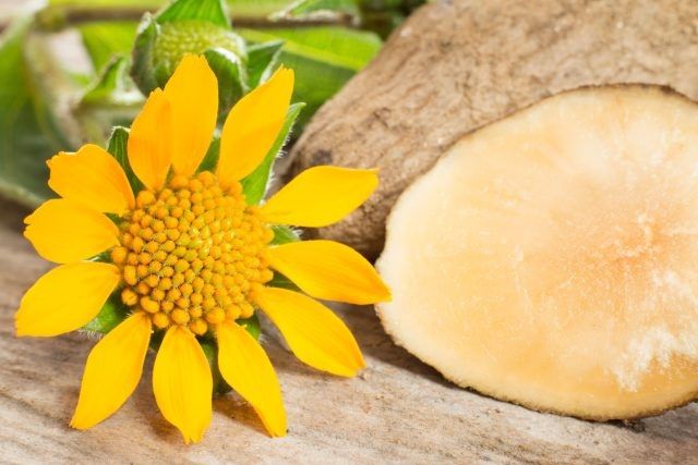 ����: ����������� ����� �� ����, ������� ������� ������