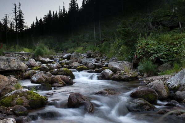 Депутаты призывают отклонить законопроект, грозящий заповедникам