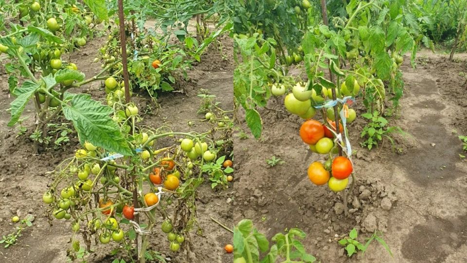 ���������������� ������: ��� 7 ������ ���������� � ���������� �����