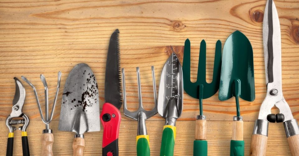 Неудачные дачные покупки: что стоит избегать