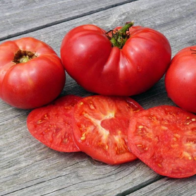 ����� ����� ������� ����: ���������� ����, ������� ����� � �������� �����