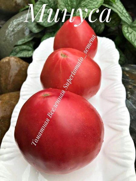 ������ ����� ������ � ������ �������� �������: ��� ��������� ������� ������