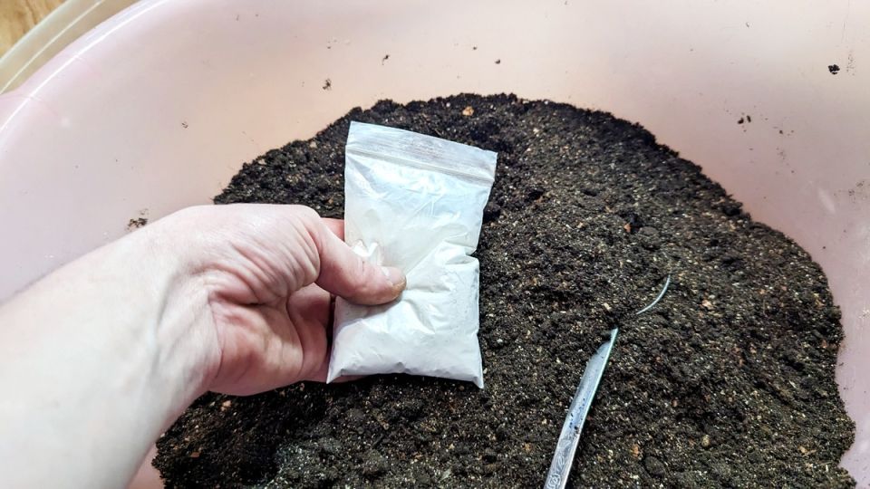 ��� ������� ����� ��� ������� ������� � ����� ��� ������� �������