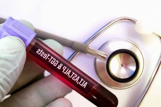 Как три анализа крови помогают увидеть риск проблем с печенью за годы до симптомов