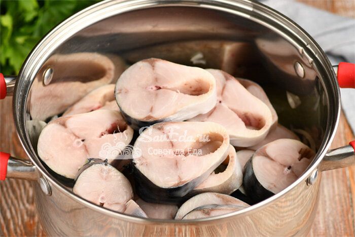 ������ ����� �� �������������� ���� � �������� �� ��������