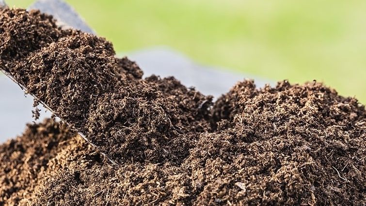 ��� ������� ����� ��� ������� �� ������� � ��� ��������� �����