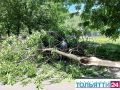 Большая ветка отломилась от дерева и упала на автомобиль во дворе дома по адресу б-р Орджоникидзе, 15