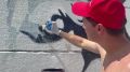 Волонтеры обновляют надпись-символ нашего города «БЫТЬ ДОБРУ»!
