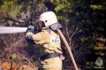 В Самарской области за сутки ликвидировано 5 природных пожаров