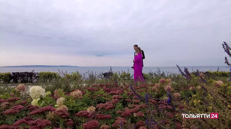  -  ,        