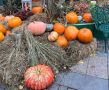5 сезонных продуктов для поддержания здоровья осенью