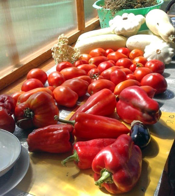  !.   ,    -  !        (   )?    !    ,     , ...