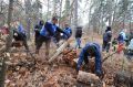 Тольяттинские химики восстанавливают памятник природы