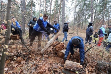 Тольяттинские химики восстанавливают памятник природы
