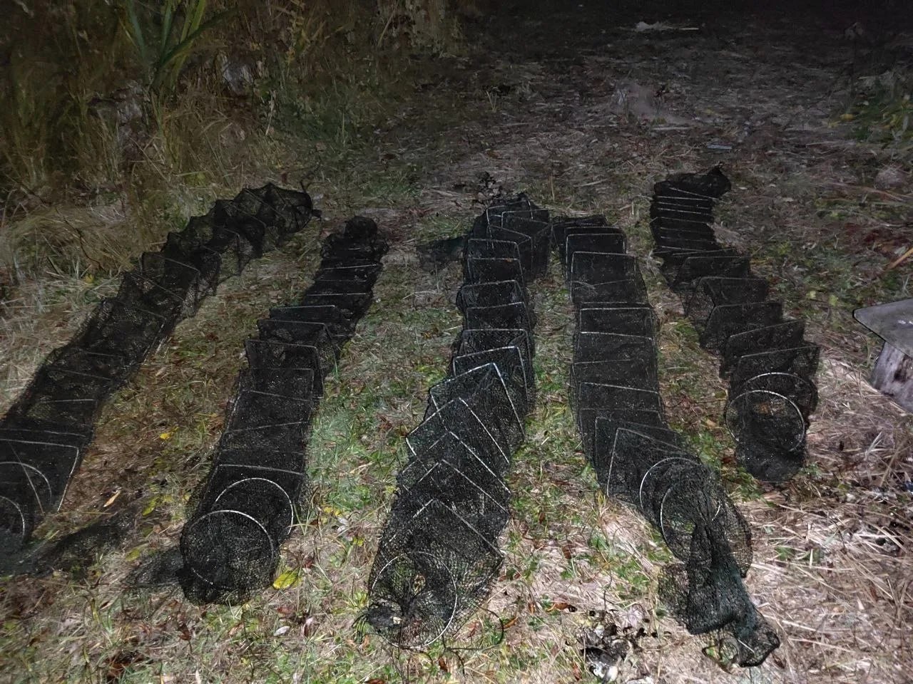 До двух лет тюрьмы может получить житель Самары за ловлю раков в Сызрани До двух лет тюрьмы может получить житель Самары за ловлю раков в Сызрани