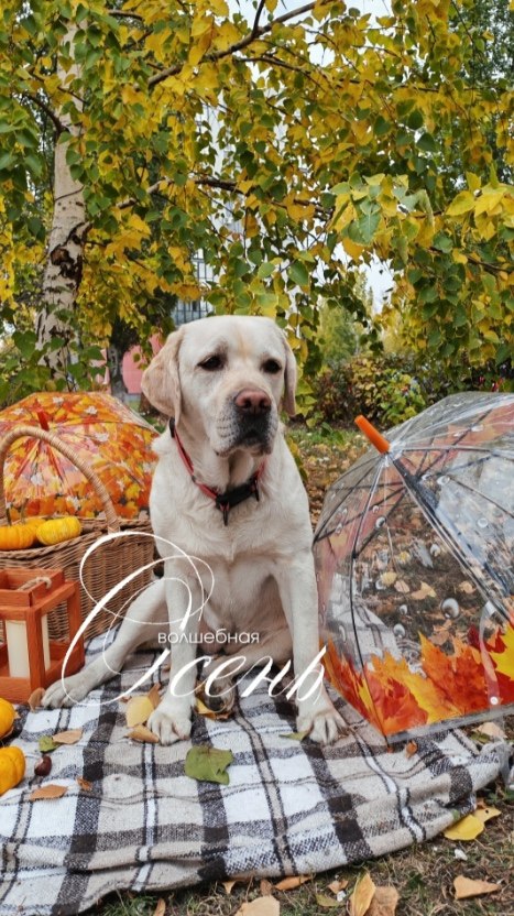 #городвфокусе. Завершился суперфинал нашего фотоконкурса "Время года