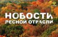 AK&M: Рослесхоз: в III квартале 2025 года в государственную собственность возвращено почти 300 га лесов