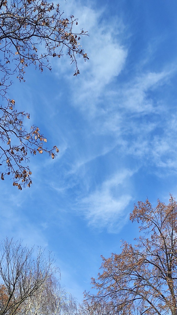 31 октября. Даты дня и советы астролога