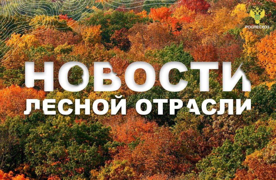 AK&M: :  III  2025       300  