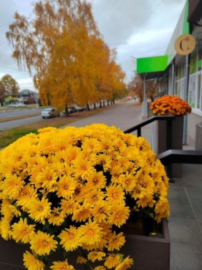 Доброе утро, Тольятти!. На календаре 31 октября