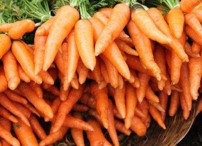 Как правильно собирать и хранить морковь: секреты долгого хранения и вкусного урожая