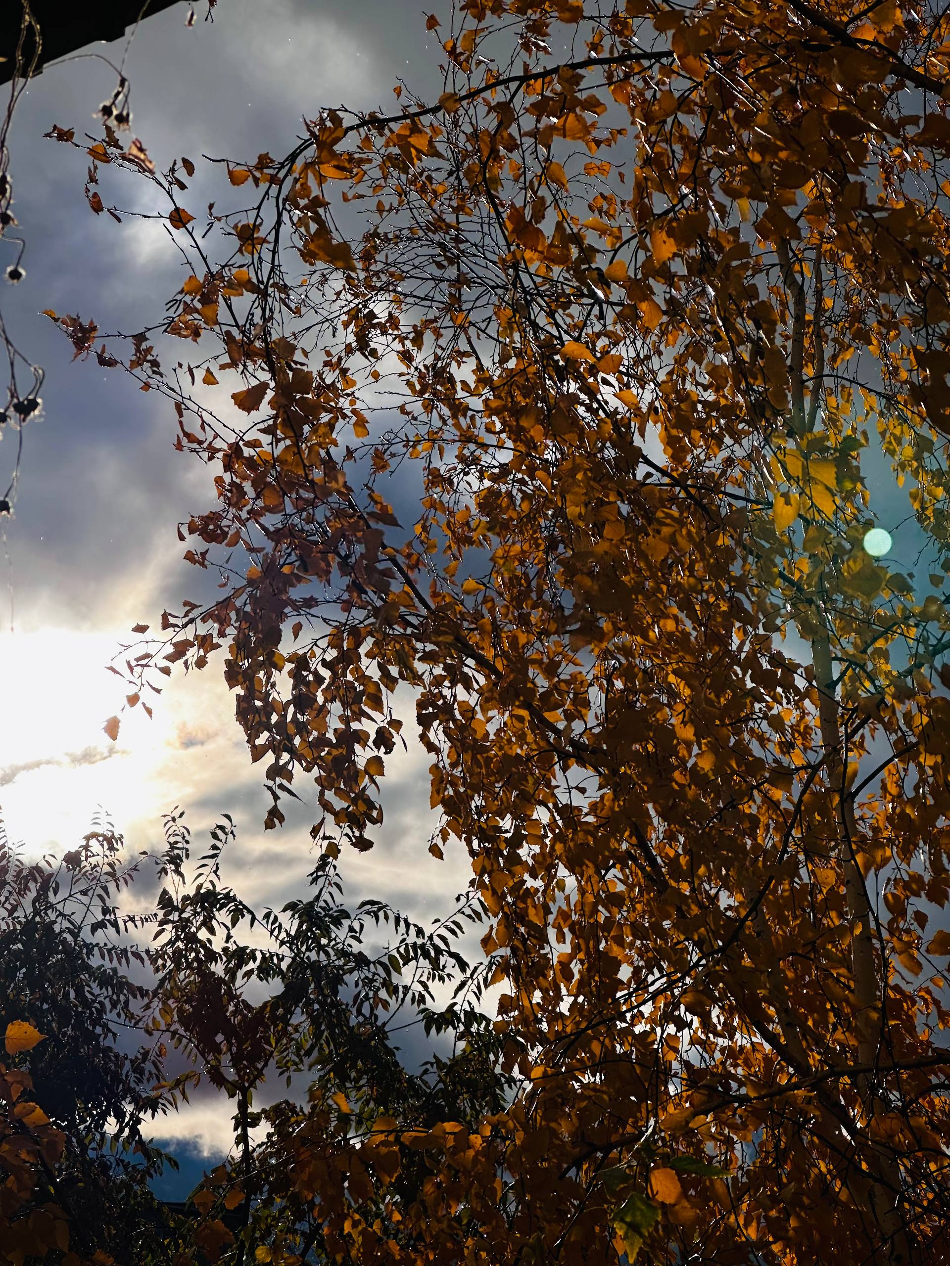 Доброе праздничное утро! 4 ноября в нашей стране отмечается День Народного Единства