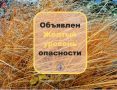 Внимание, ветер. От ФГБУ «Приволжское УГМС» получена консультация: «Объявлен желтый уровень опасности. Ночью и утром 05.11.2025 местами в Самарской области ожидается усиление южного ветра 15-18 м/с»
