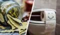 Лавровый лист в унитазе: секреты чистоты и аромата, о которых вы не знали